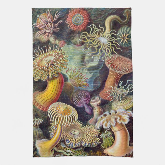 Haeckel Sea Urchins Tea Towel (Vertical)