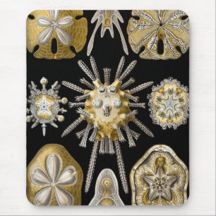 Haeckel Sealife Mouse Pad