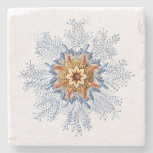 Haeckel Siphonophora Coaster