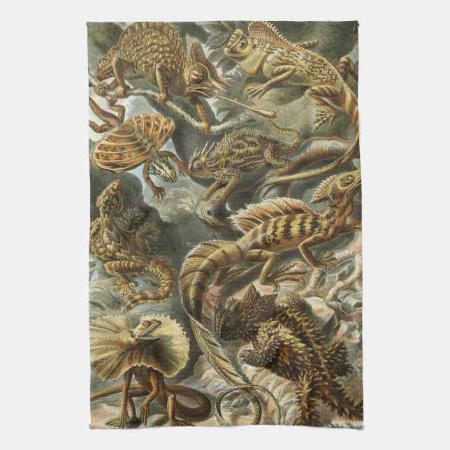 Haeckel Tea Towel (Vertical)