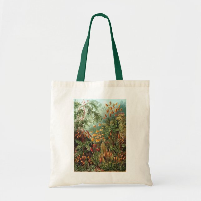 Haeckel Tote Bag (Front)
