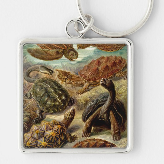 Haeckel Turtles Key Ring (Front)