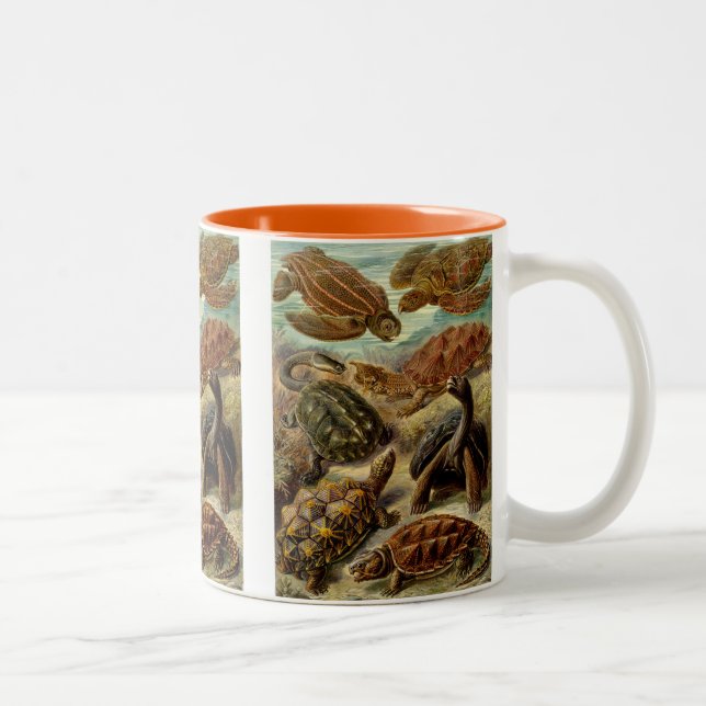 Haeckel Turtles Two-Tone Coffee Mug (Right)