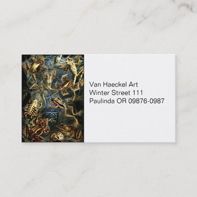 Haeckel Vintage Amphibians Business Card (Front)
