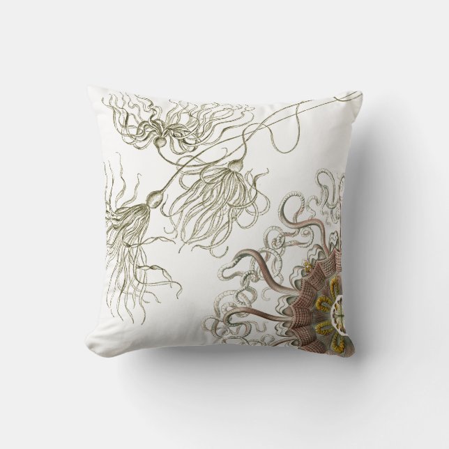 Haeckel vintage sealife cushion (Front)