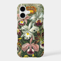Haeckel's Colourful Orchid Lithograph
