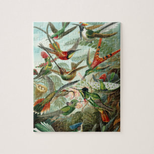 Haeckel's Hummingbirds Jigsaw Puzzle