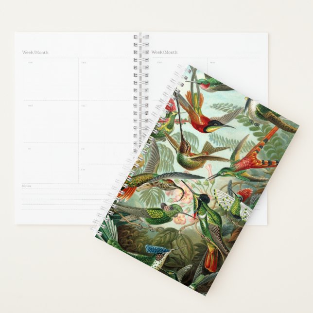 Haeckel's Hummingbirds Planner (Display)