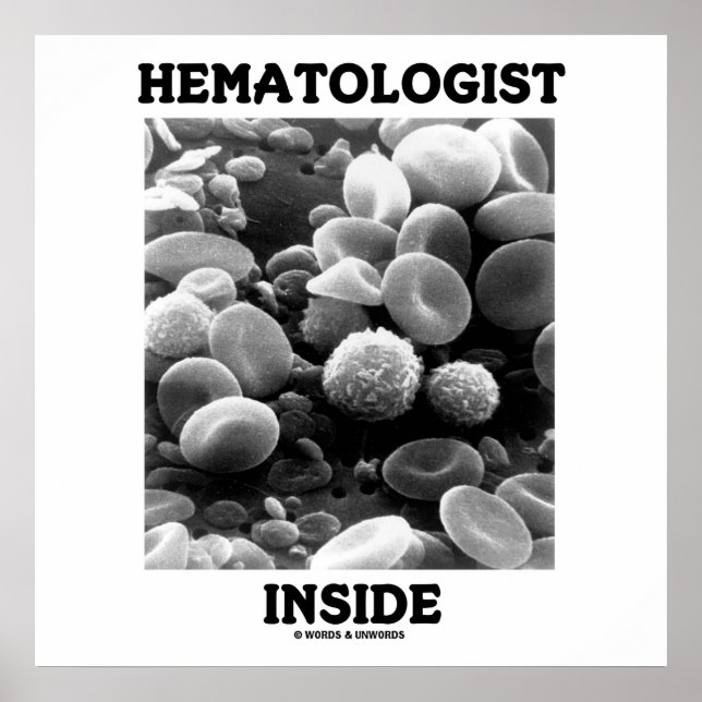 Haematologist Inside (Blood Cells) Poster (Front)