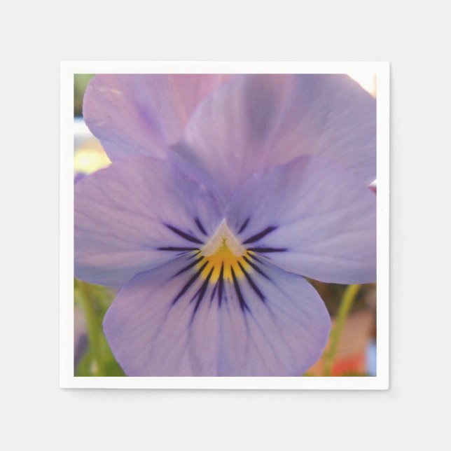 Haetzlern Napkin (Front)