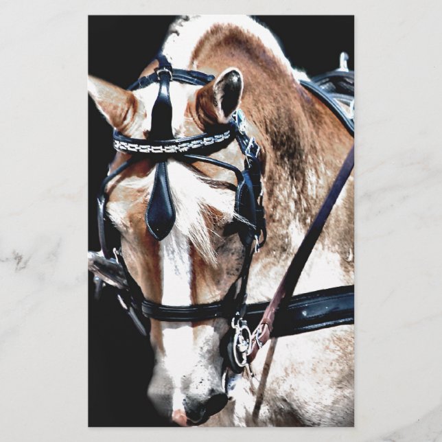 Haflinger (Front)