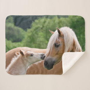 Haflinger Cute Horses Foal and Mum Cuddling Kiss Sherpa Blanket