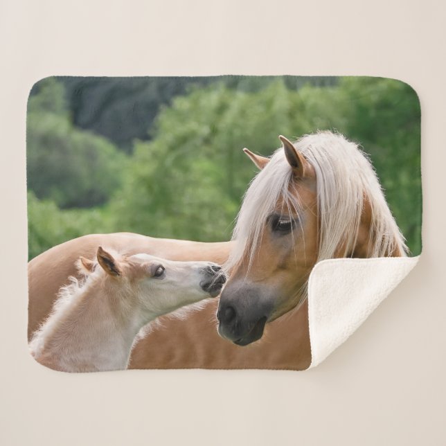 Haflinger Cute Horses Foal and Mum Cuddling Kiss Sherpa Blanket (Front (Horizontal))
