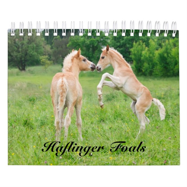 Haflinger Foals - size small Calendar (Cover)