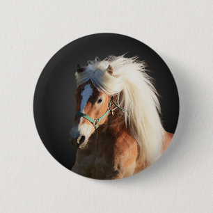 Haflinger Horse 6 Cm Round Badge