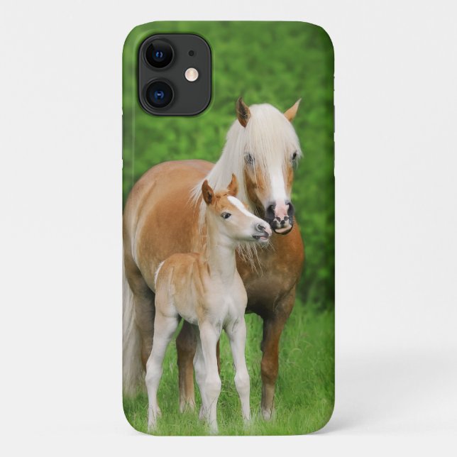 Haflinger Horse Cute Baby Foal Kiss Mum Pony Photo Case-Mate iPhone Case (Back)