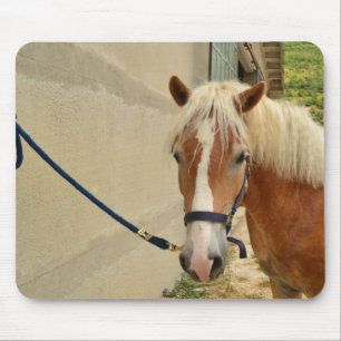 Haflinger horse mouse pad