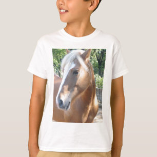 Haflinger Horse T-Shirt