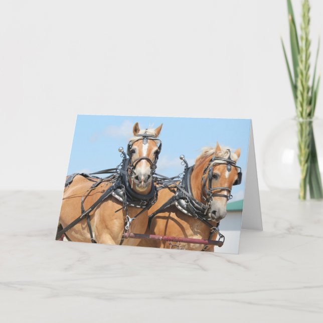 Haflinger Horses Card (Front)