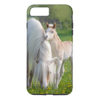 Haflinger Horses Cute Baby Foal With Mum Photo -.