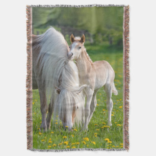 Haflinger Horses Cute Baby Foal With Mum Photo , Throw Blanket