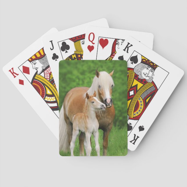 Haflinger Horses Cute Foal Kiss Mum Photo . Playing Cards (Back)