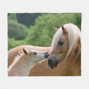 Haflinger Horses Foal and Mare cuddling, comfort Fleece Blanket