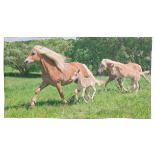 Haflinger Horses with Cute Foals Run Funny Photo - Pillowcase