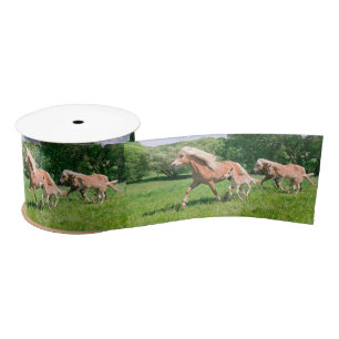 Haflinger Horses with Cute Foals Run Funny Photo , Satin Ribbon