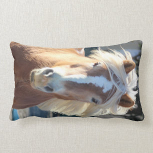 Haflinger Lumbar Cushion