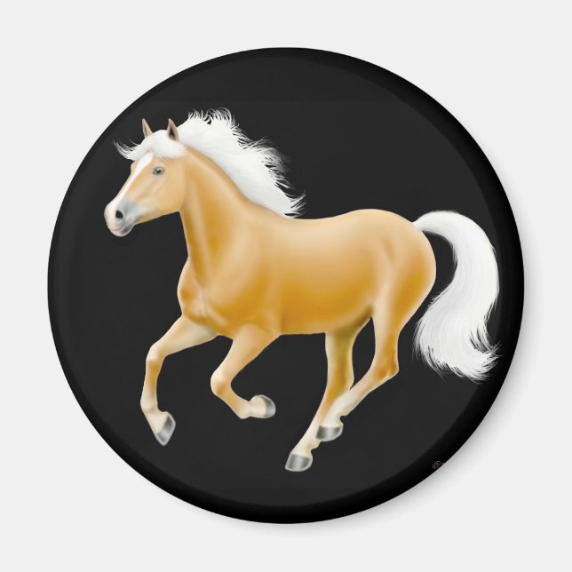 Haflinger Palomino Horse Magnet Black (Front)