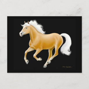 Haflinger Palomino Horse Postcard