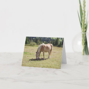 Haflinger Palomino Pony in Summer Pasture Photo Card