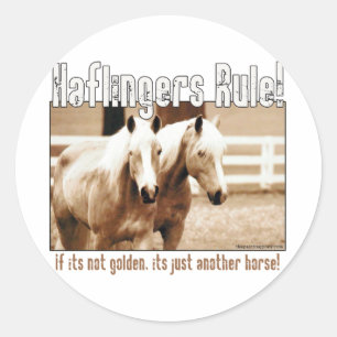 Haflingers Rule Classic Round Sticker