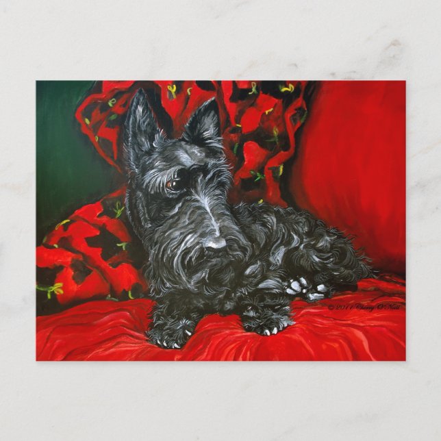 Haggis the Scottish Terrier Postcard (Front)