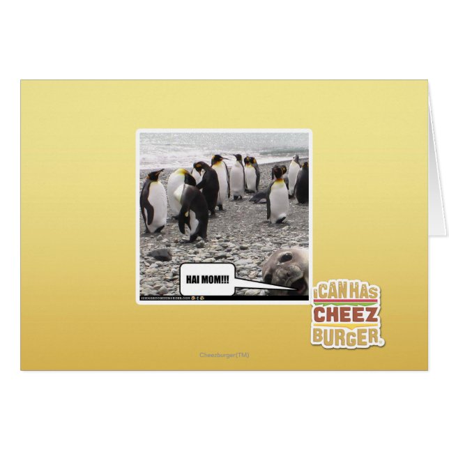 HAI MOM!!! (Front Horizontal)