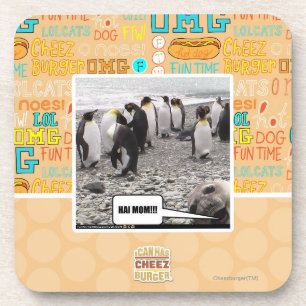 HAI MOM!!! COASTER
