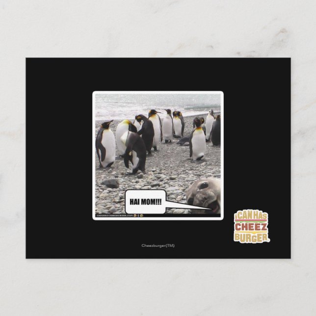 HAI MOM!!! POSTCARD (Front)