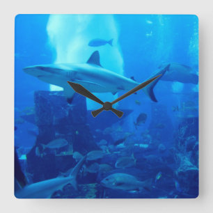 Hai underwater! square wall clock