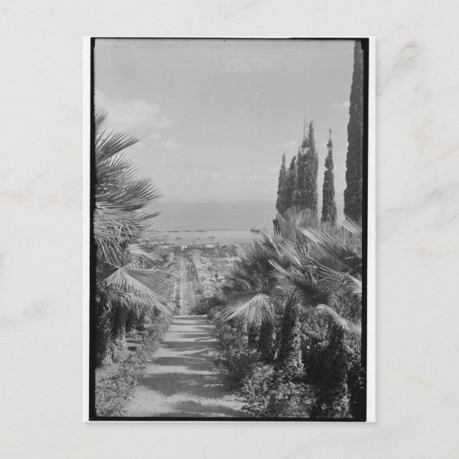 Haifa - from Mt. Carmel, 1920s Postcard (Front)