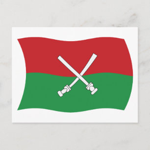 Hainan Li & Miao Flag Postcard