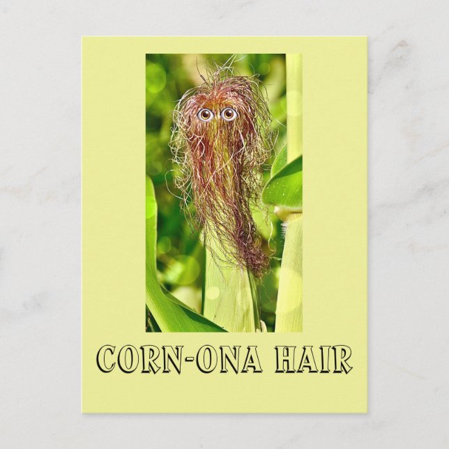 Hair Humour Post Card (Front)