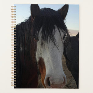 Hair in the Eyes Planner