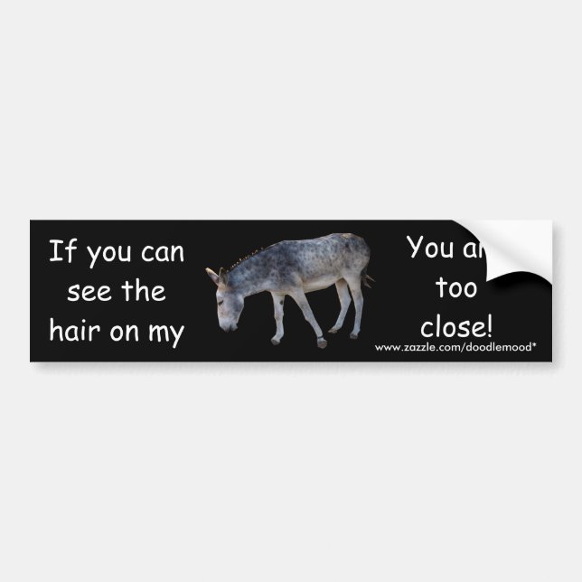 Hair on my... Bumper Sticker (Front)