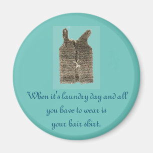 Hair Shirt Laundry Day Magnet