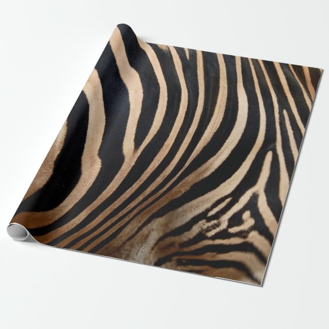 hair skin of zebraskin,animal,background,black,bod wrapping paper (Unrolled)