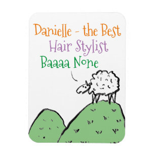 Hair Stylist Magnet