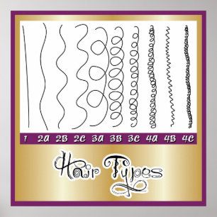 Hair Types1 Poster