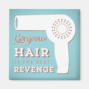 Hairdryer magnet