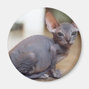 Hairless and Proud Magnet